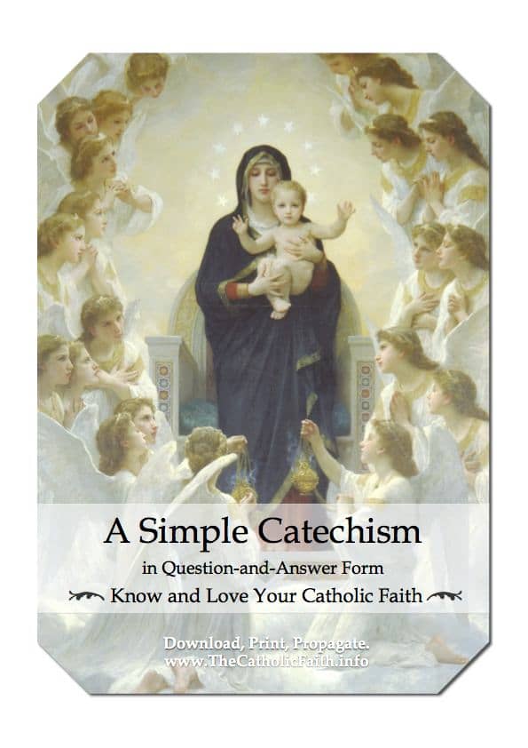 Simple Catechism Cover Booklets